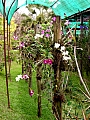 DSCN1675.jpg