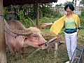DSCN1676.jpg