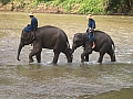 DSCN1704.jpg