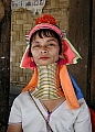 long_neck.jpeg.jpg