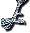 dragonbot.gif (2038 bytes)